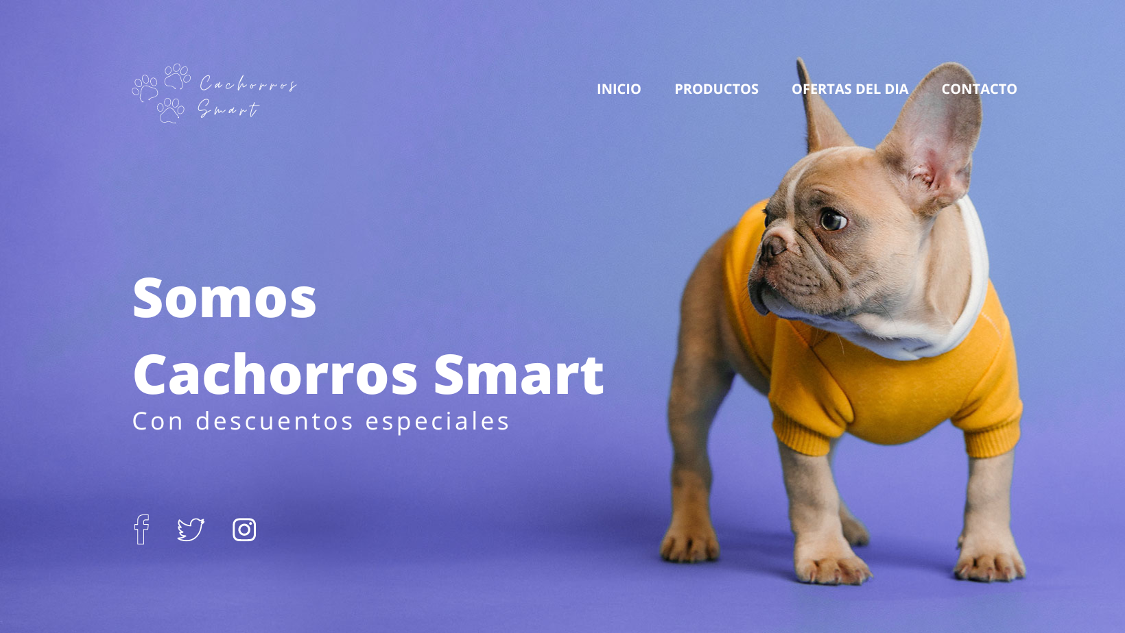 Cachorros Smart